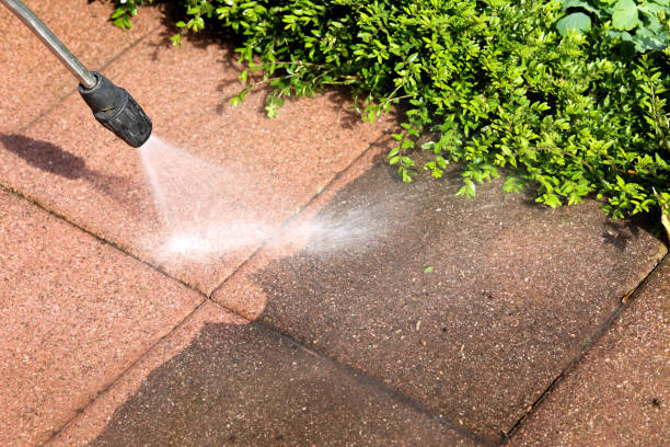 Best Exterior Home Cleaning  in Harrison, TN